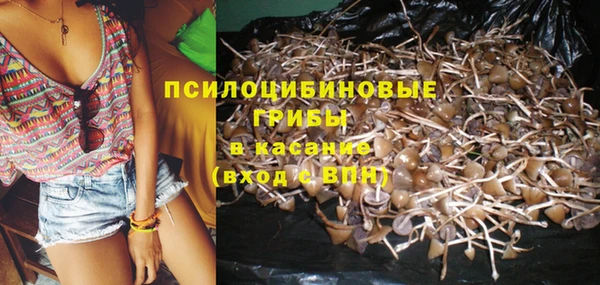 прущая мука Новозыбков