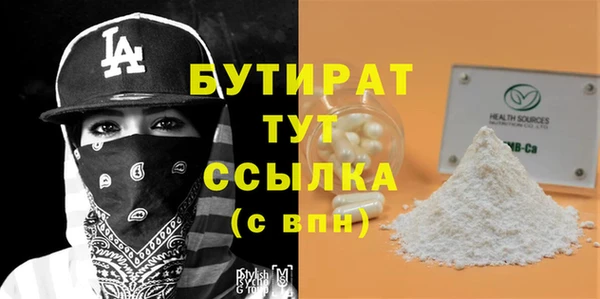 индика Новодвинск