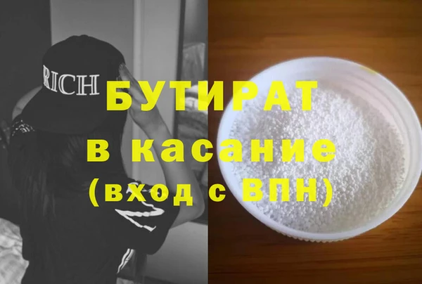 индика Новодвинск