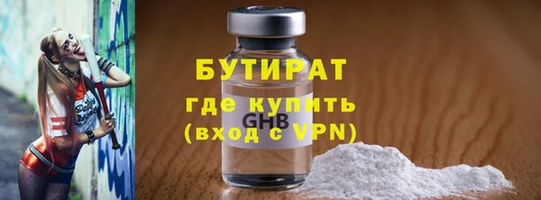 индика Новодвинск