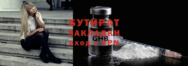 индика Новодвинск