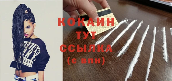 бошки Няндома