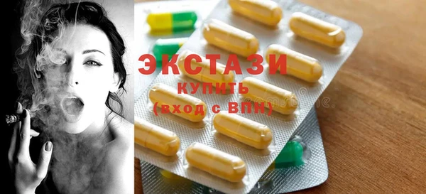 индика Новодвинск